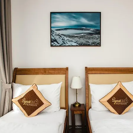 Synek Apartahotel