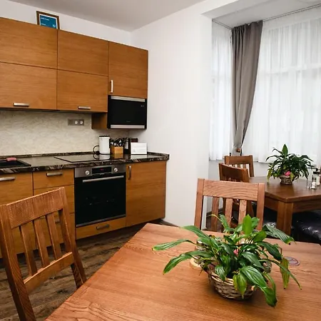 Апарт-отель Synek 4*
