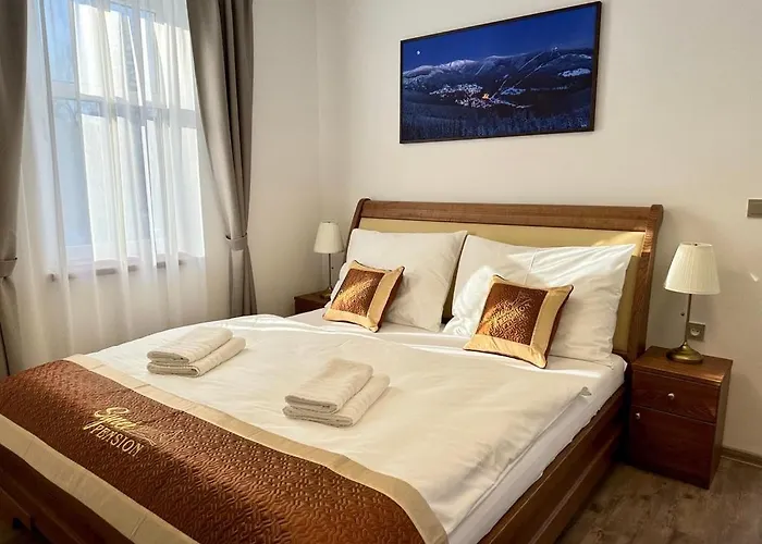 Synek Hotel apartamentowy 4*
