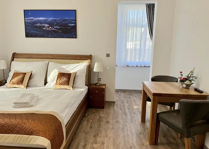 Hotel apartamentowy Synek
