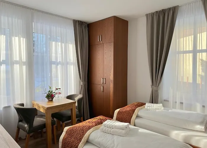 Synek 4*