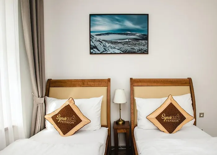 Synek Апарт-отель